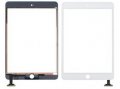 iPad mini dotykov doska vr. IC White