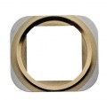 iPhone 5S kovov rmek Home tladla Gold